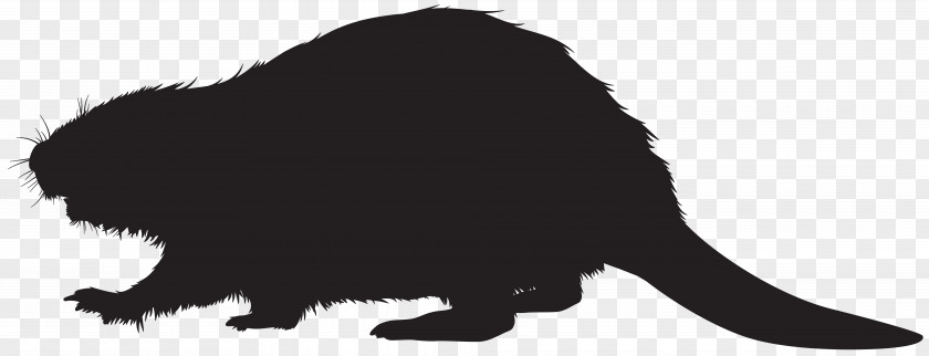 Beaver Silhouette Clip Art Image Cat Dog Black And White Canidae PNG