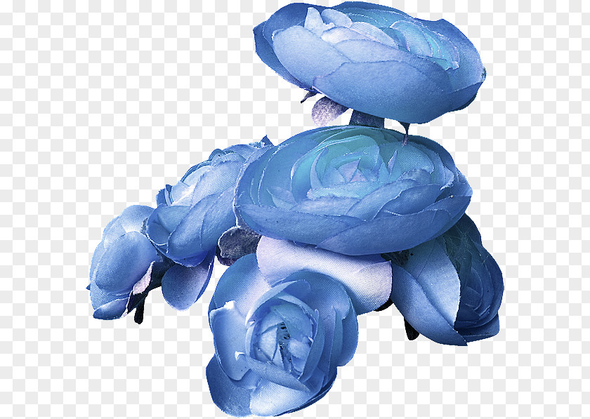 Blue Rose Flower PNG