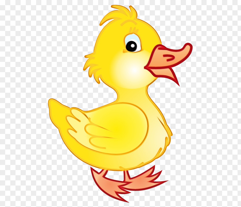 Chicken Water Bird Cartoon Beak Duck Yellow PNG