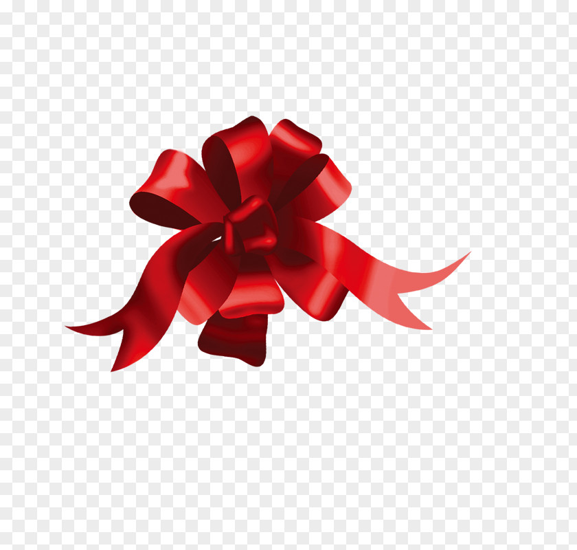 Garland Red Ribbon Flower PNG