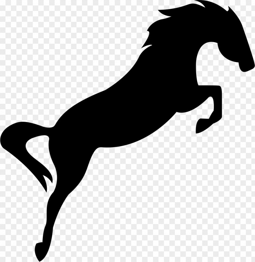 Horse Logo Silhouette PNG