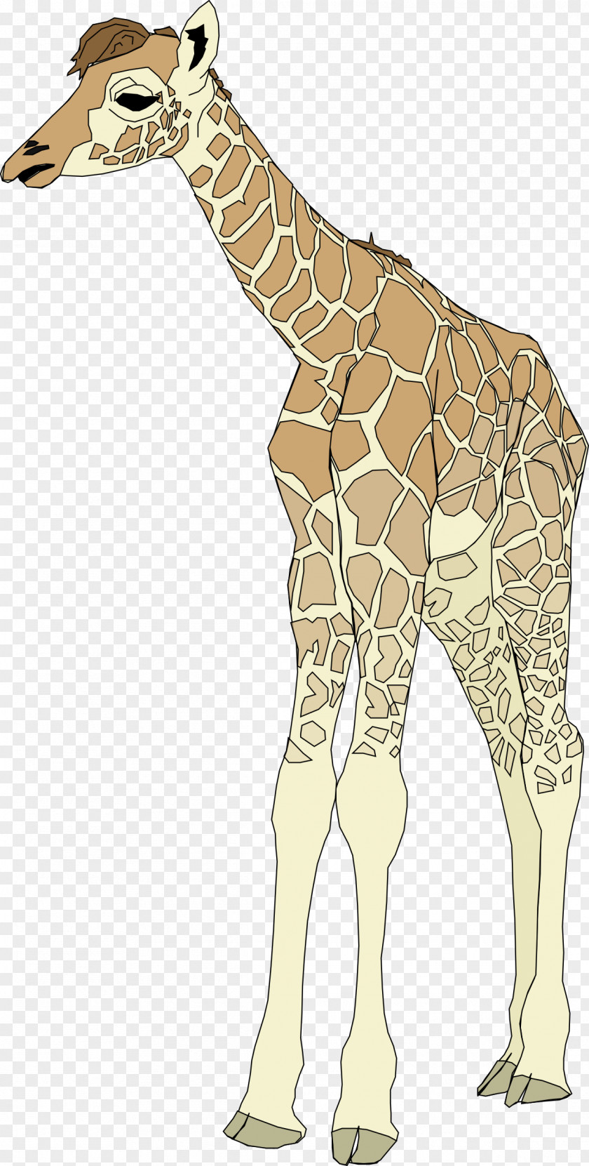 Giraffe Clip Art PNG