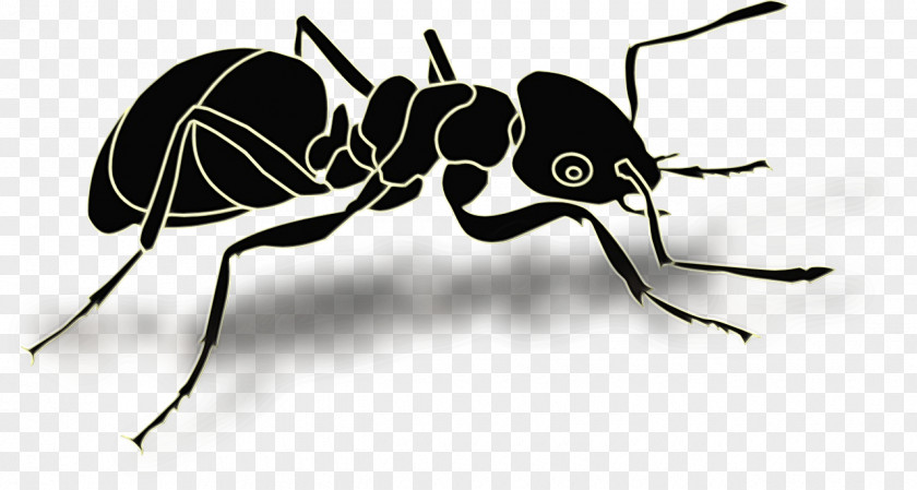 Membranewinged Insect Pest Ant Cartoon PNG