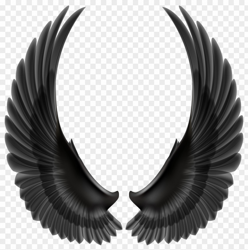 Wings Clip Art PNG