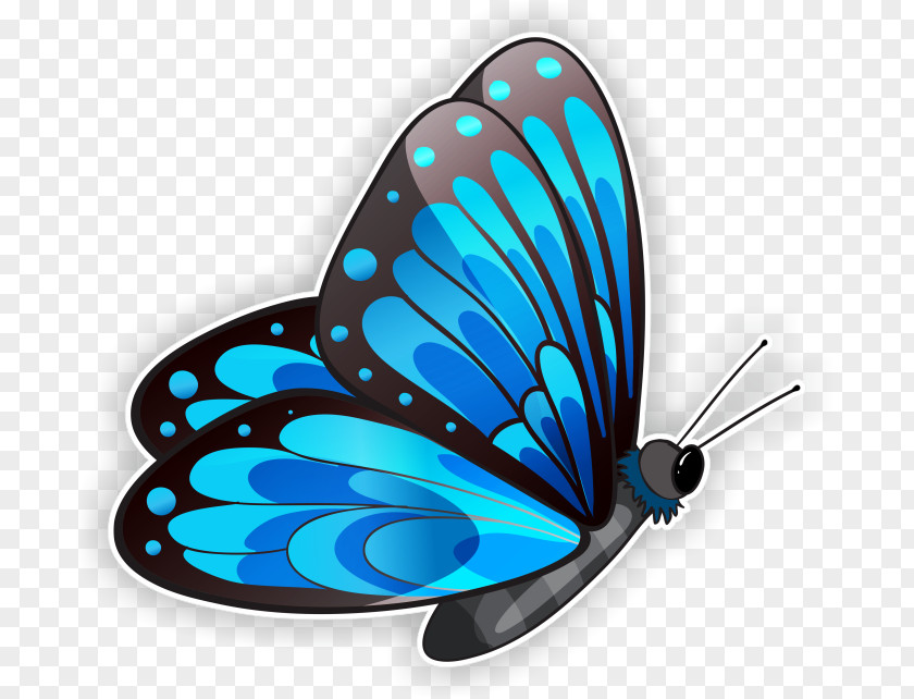 Butterfly Clip Art PNG