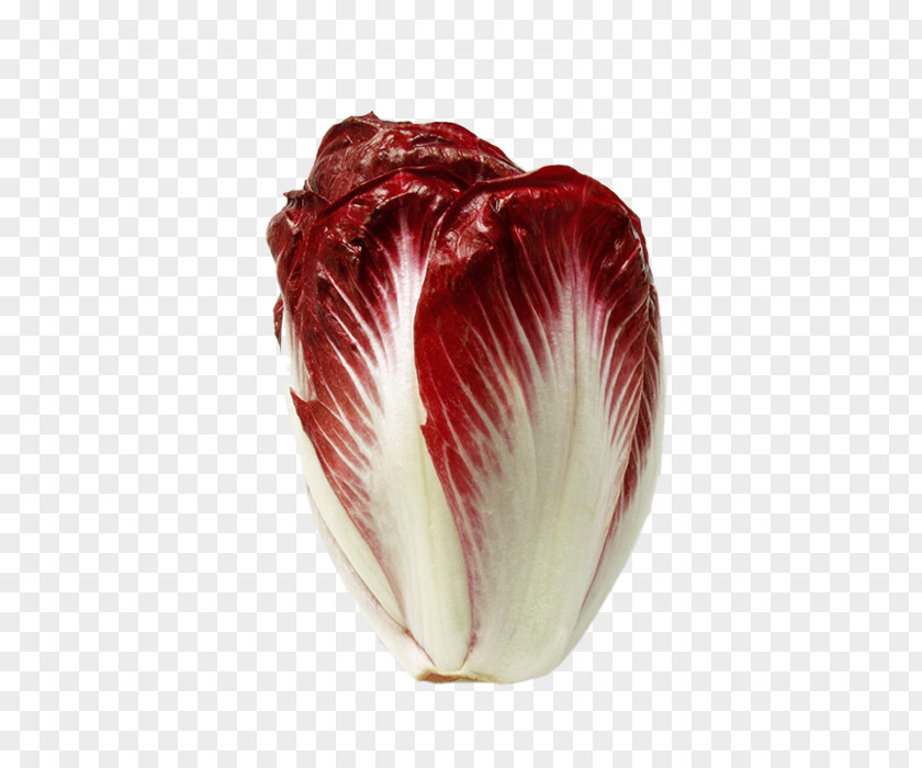 Cabbage Material Picture Vegetable Chinese Napa Red Salad PNG