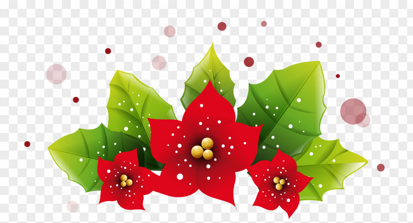 Christmas Poinsetta Decoration Picture Ornament Leaf PNG