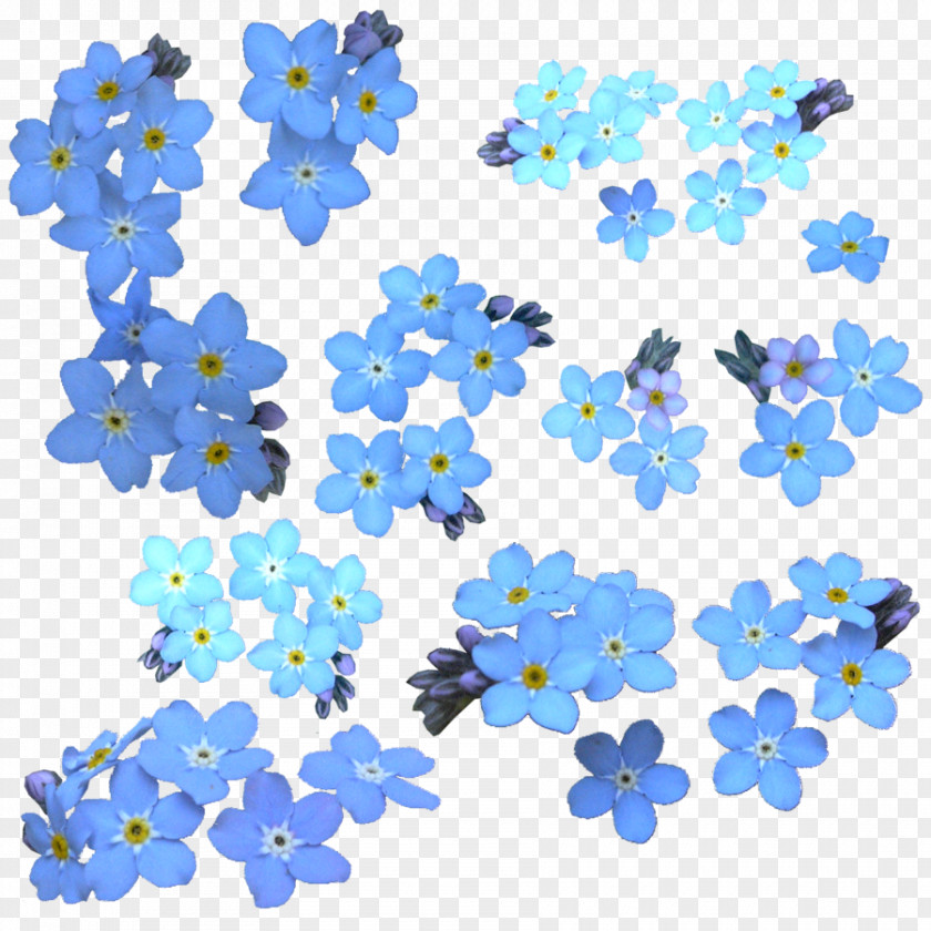 Flower Water Forget-Me-Not Watercolor Painting Clip Art PNG