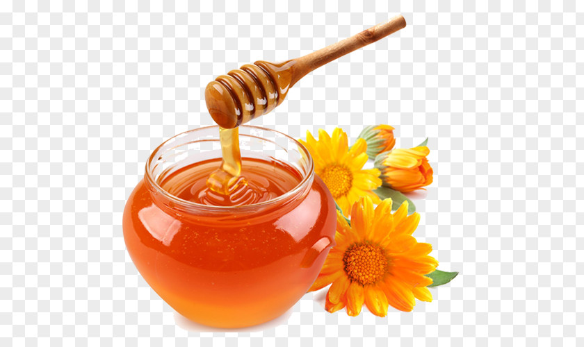 Honey Garlic Sauce Bee Transparency PNG