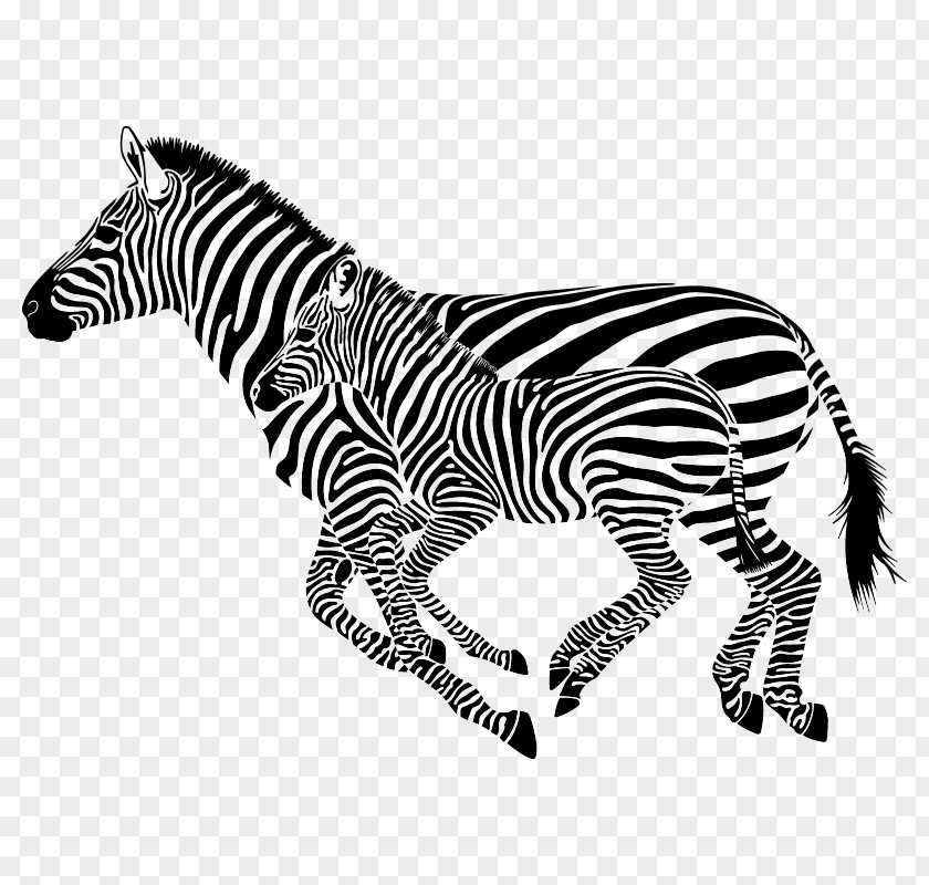 Horse Zebra Wall Decal Sticker PNG