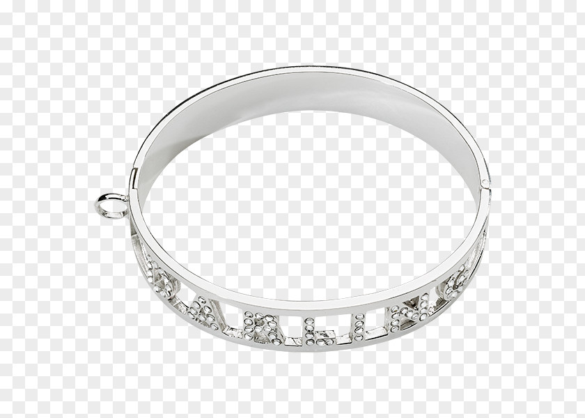 Jewellery Bangle Charm Bracelet Platinum PNG
