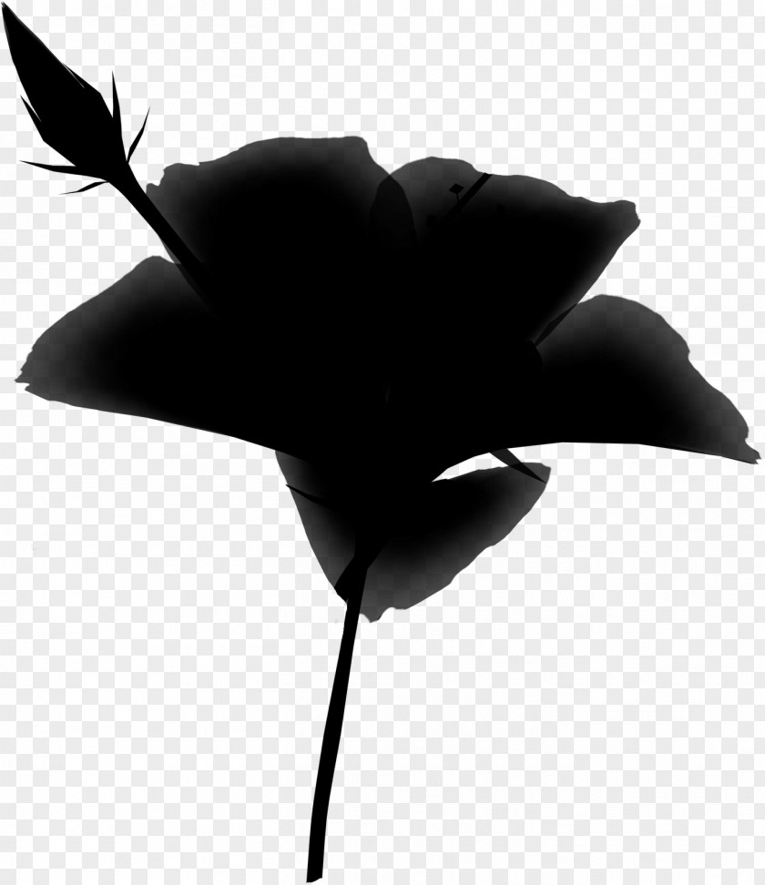 Rose Silhouette Leaf Family M Invest D.o.o. Black PNG