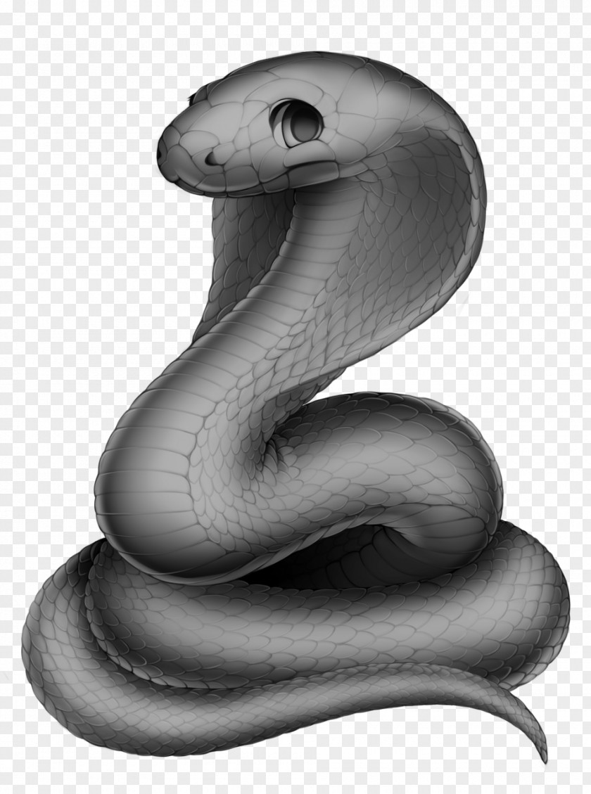 Snake Reptile Grayscale Wikia PNG