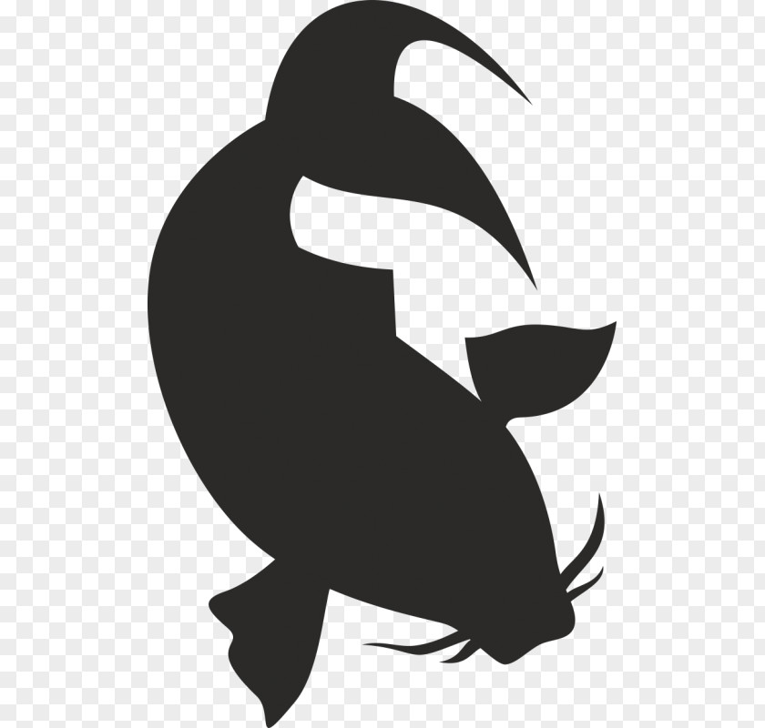 Angel Fish Koi Vector Graphics Carp Illustration Image PNG