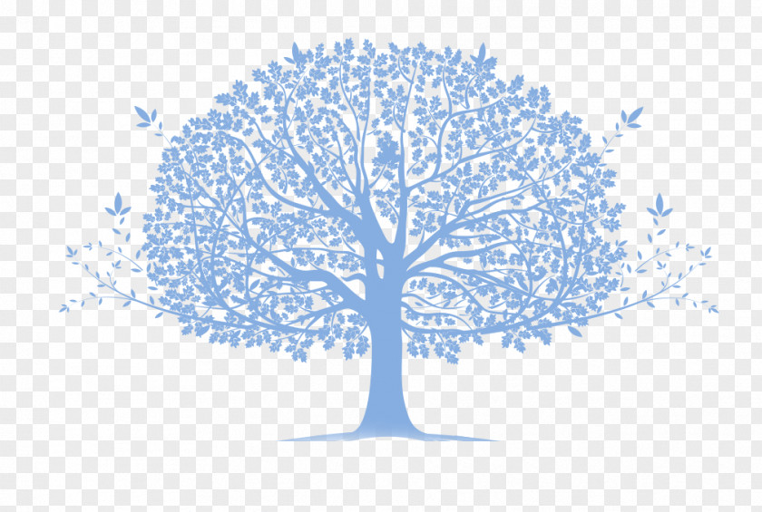 Family Tree Genogram Community Genealogy PNG