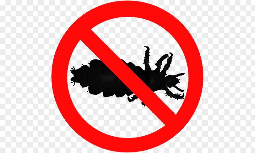 Insect Louse Goat Clip Art PNG