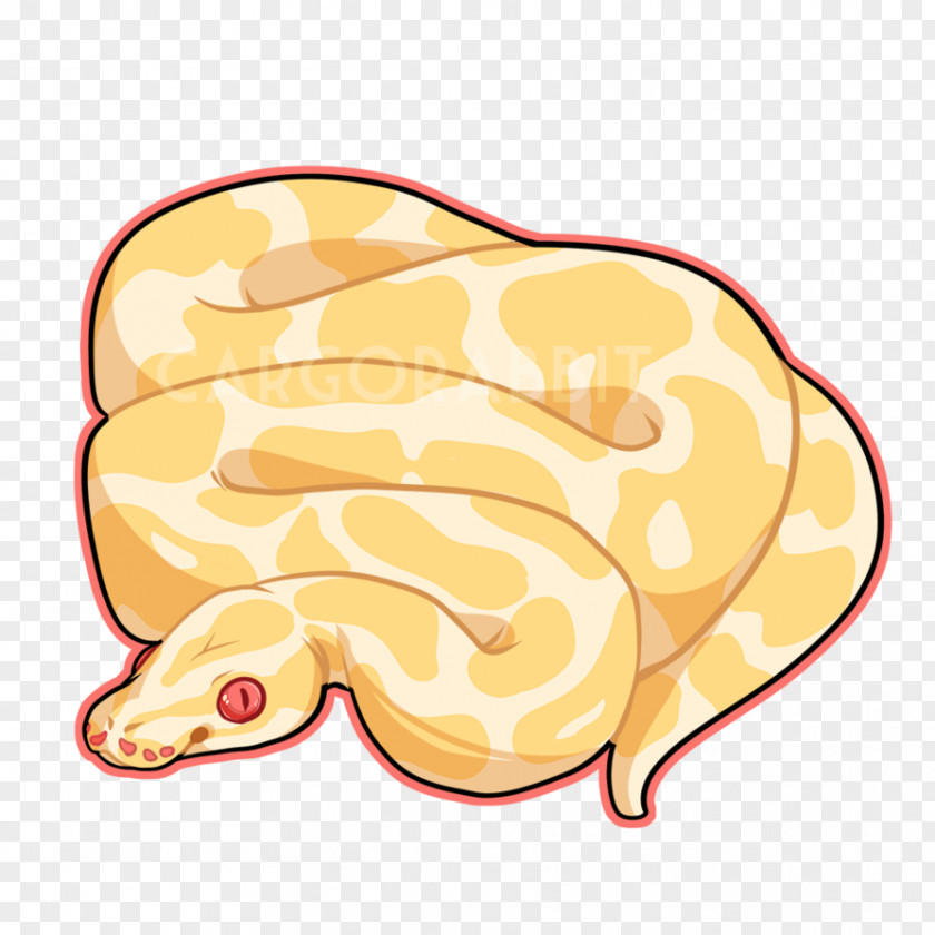 Matting Vector Snake Ball Python Burmese Drawing Clip Art PNG