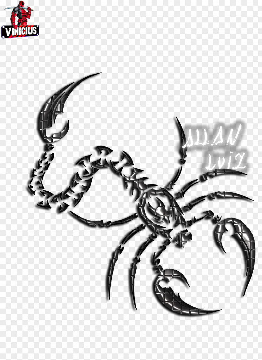 Netuno Crab Decapods Insect Scorpio Illustration PNG