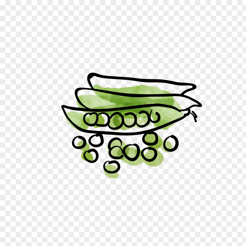 Pea Vegetable Lentil Tomato PNG