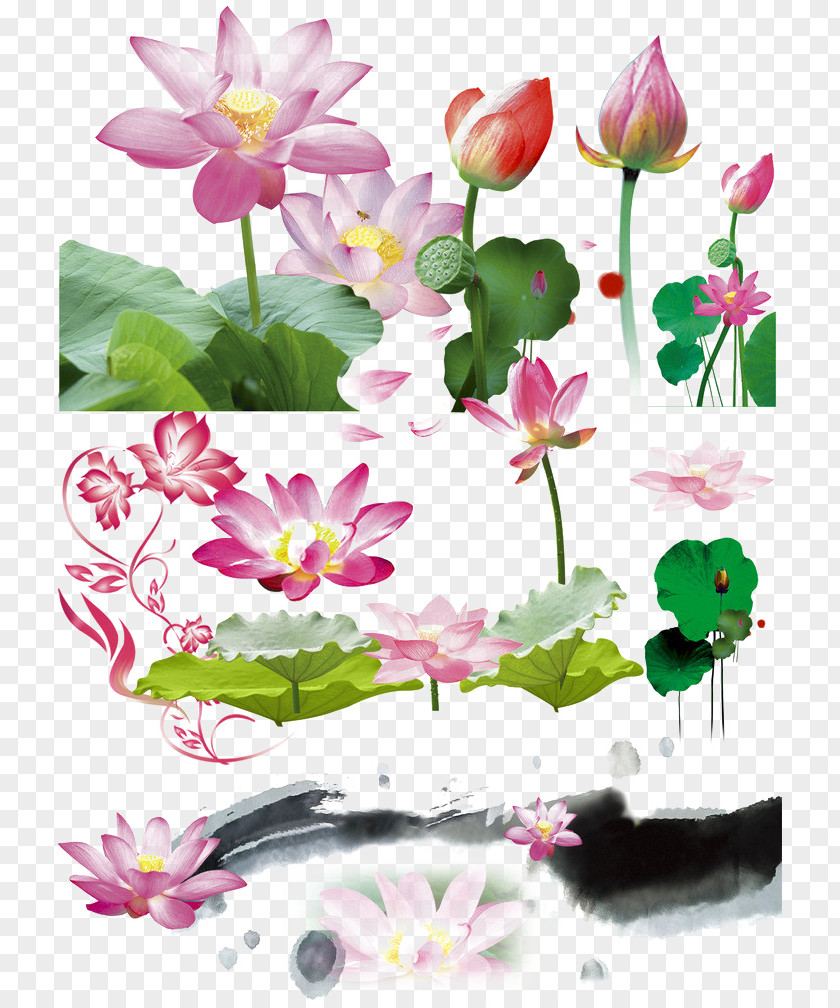 Pink Lotus Leaf Effect Element Download Adobe Illustrator Computer File PNG