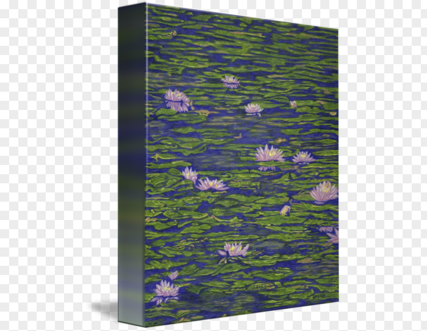 Water Lilies The Lily Pond PNG