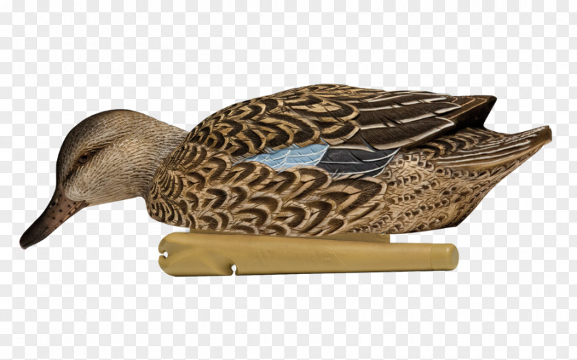 Duck Mallard Decoy Texas Rig PNG