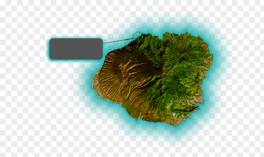 Map Kauai Topographic Organism Topography PNG