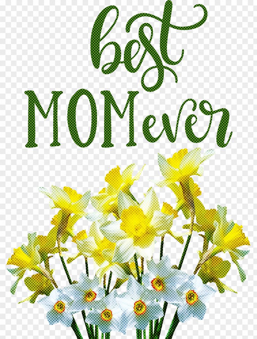 Mothers Day Best Mom Ever Quote PNG