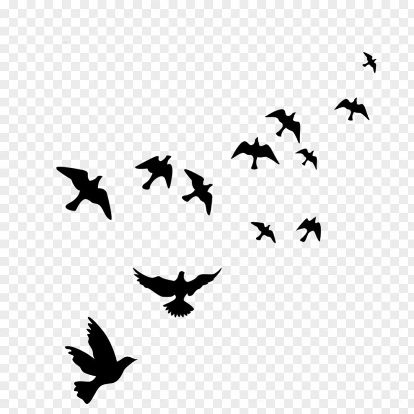 Bird Flight Wall Decal Polyvinyl Chloride PNG