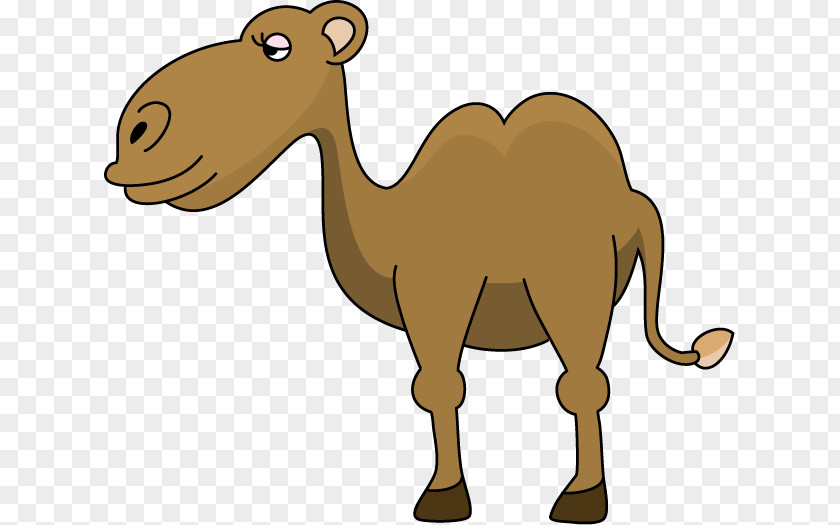 Camel Clip Art PNG