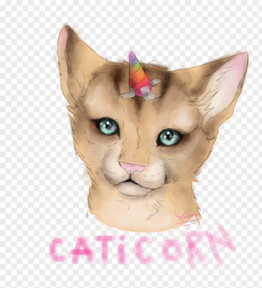 Cat Domestic Short-haired Whiskers DeviantArt T-shirt PNG
