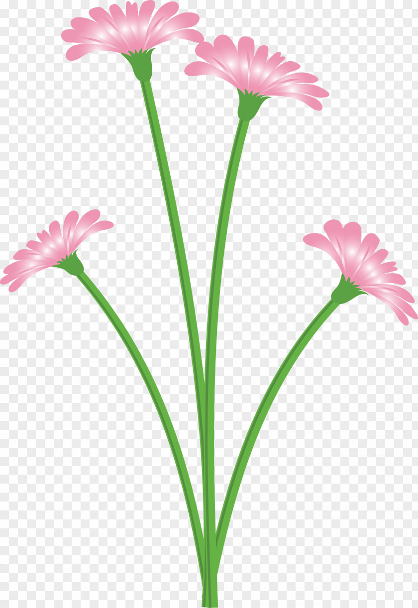 Dandelion Flower PNG