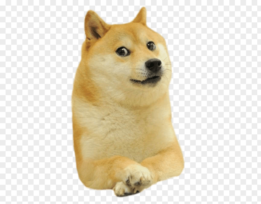 Facing Dogecoin Shiba Inu Clip Art PNG