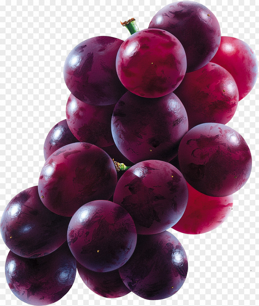 Grape Common Vine Muscadine Sultana Must PNG