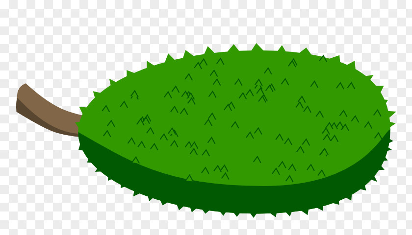 Jackfruit Tree Clip Art PNG