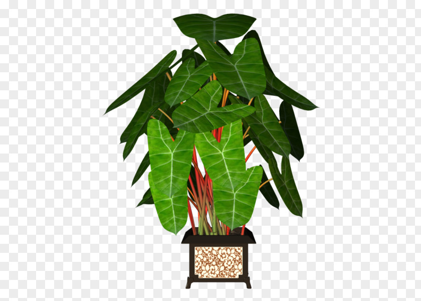 Tree Flowerpot Leaf Garden PNG