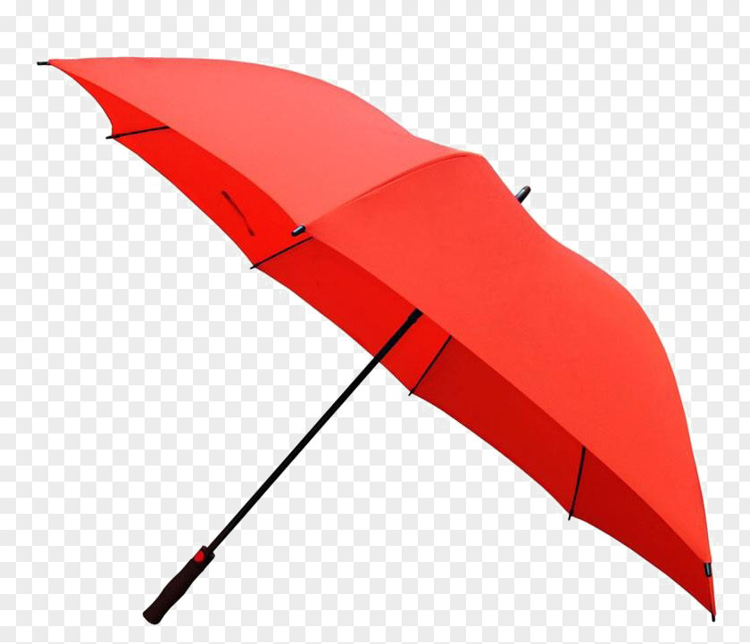 Umbrella Amazon.com Totes Isotoner Handle Clothing PNG