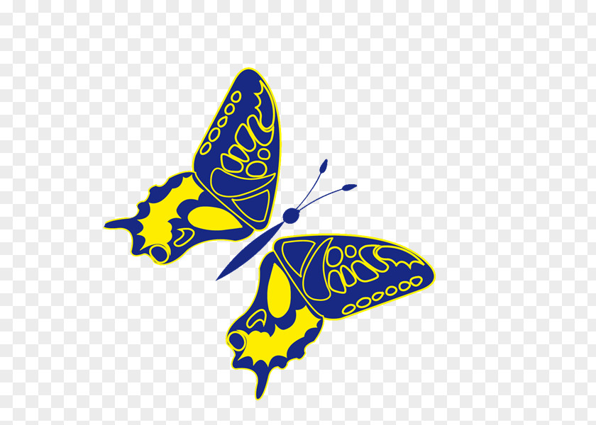 Xw Monarch Butterfly Clip Art PNG