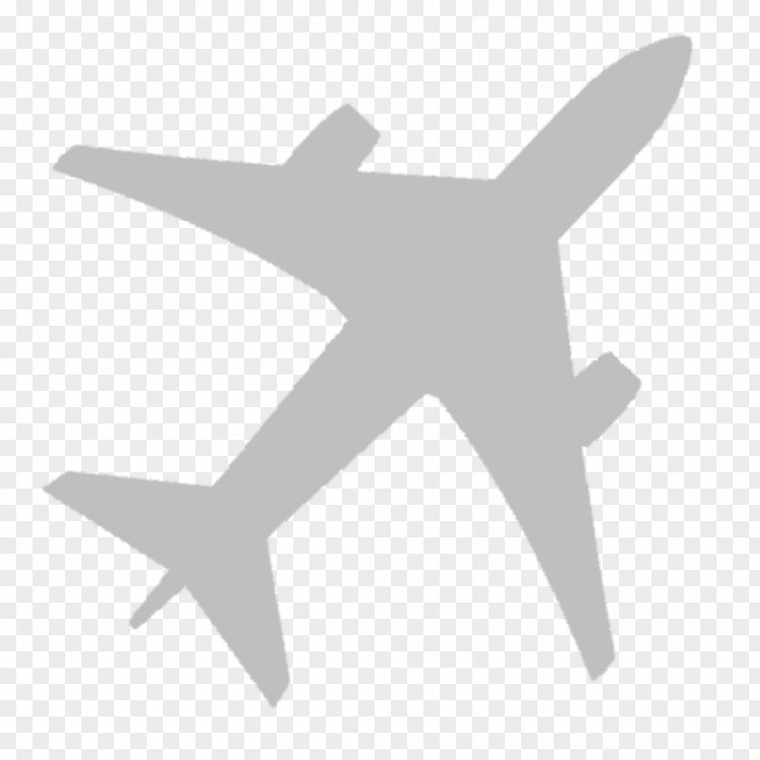 Airplane Flight Aircraft Air Travel Vector Graphics PNG