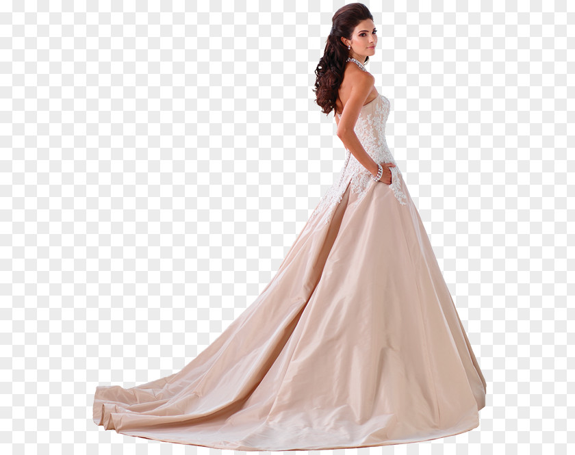 Bride Wedding Dress Woman PNG