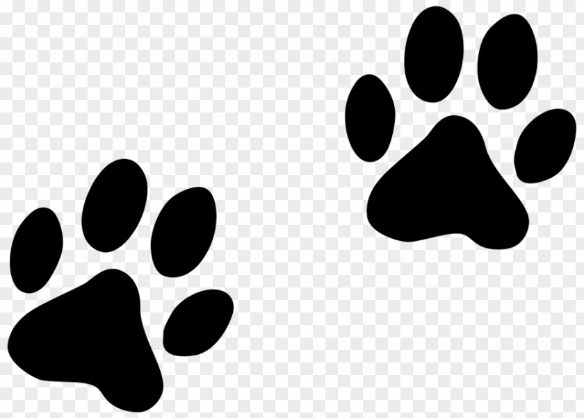 Dog Paw Cat Pet PNG