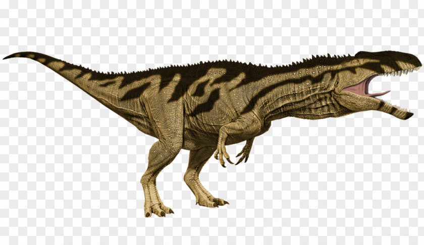Feathered Dinosaur Tyrannosaurus Primal Carnage: Extinction Velociraptor Feather PNG