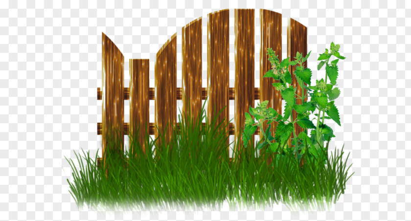 Fence Garden Gate Clip Art PNG