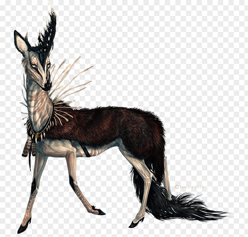 Fur Canidae Musk Deers Horse Antelope PNG