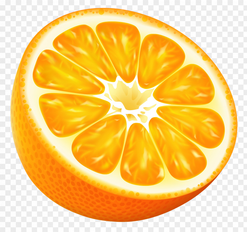 Half Orange Vector Clipart Image Juice Tangerine Clip Art PNG