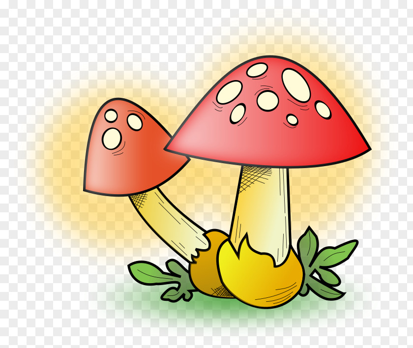 Mushroom Morchella Clip Art PNG