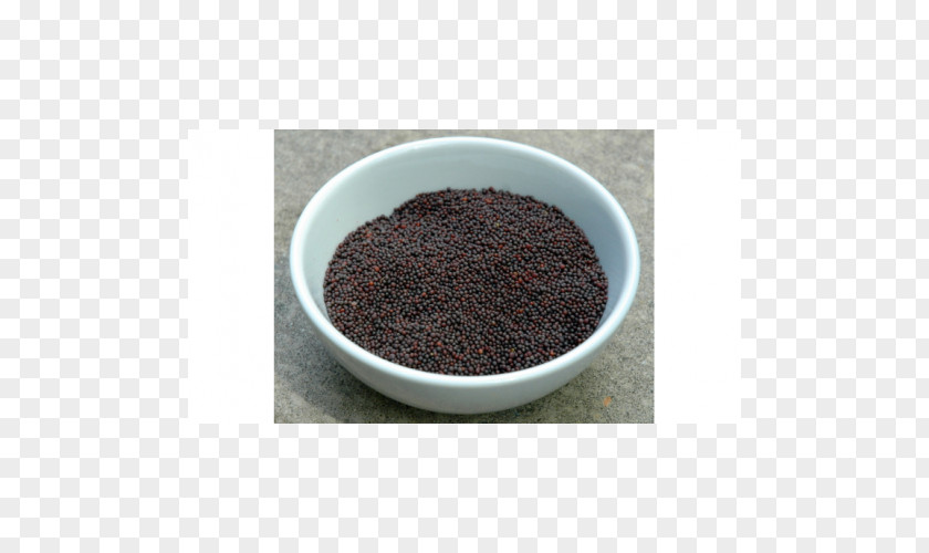 Mustard Seed Seasoning Herb Spice PNG