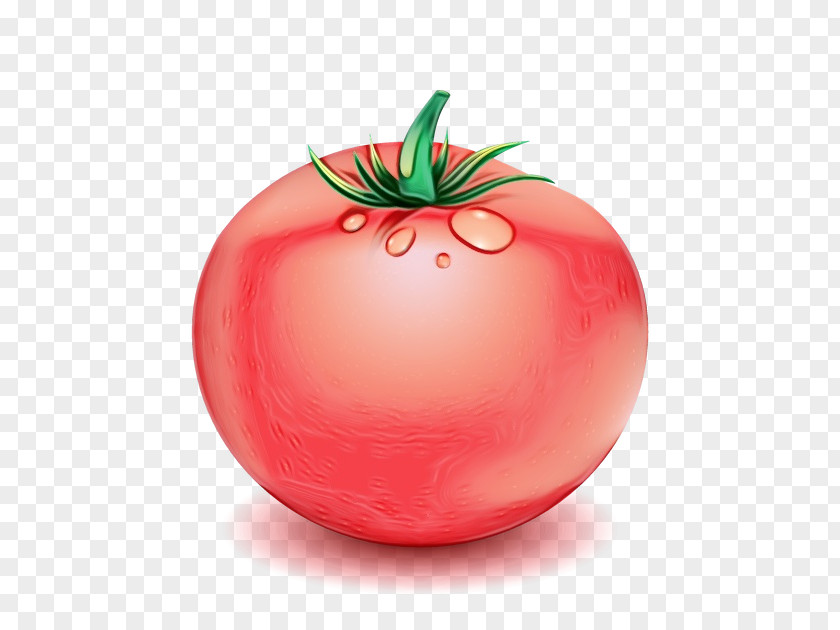 Superfood Nightshade Family Tomato PNG
