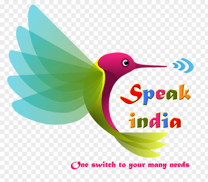 Akash Pattern Hummingbird Logo Clip Art Font Beak PNG