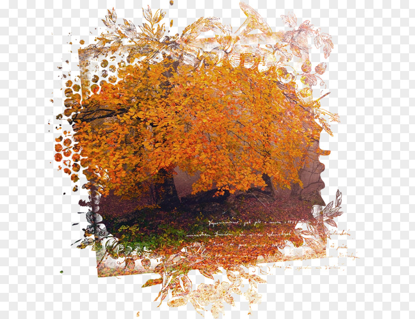 Autumn Landscape Painting Clip Art PNG
